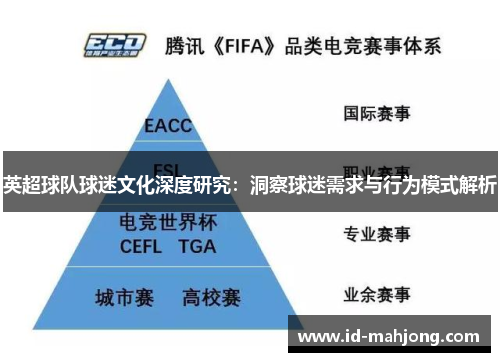 英超球队球迷文化深度研究:洞察球迷需求与行为模式解析 英超球队球迷文化深度研究:洞察球迷需求与行为模式解析